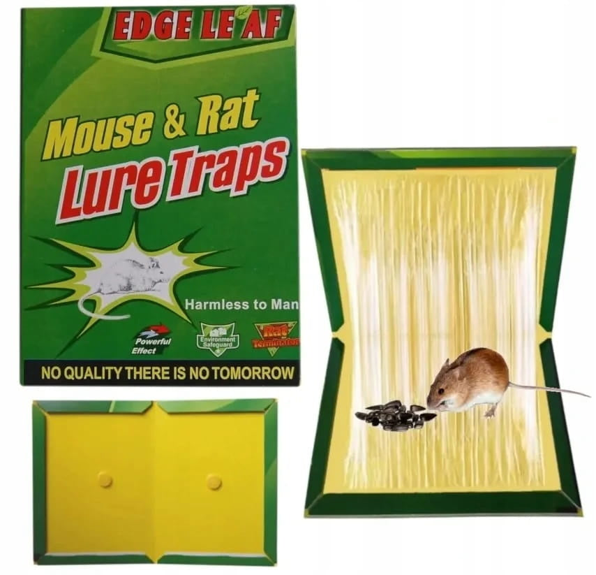 Mouse and Rat Trap strong glue - 10 pieces - Friend of Gardeners 